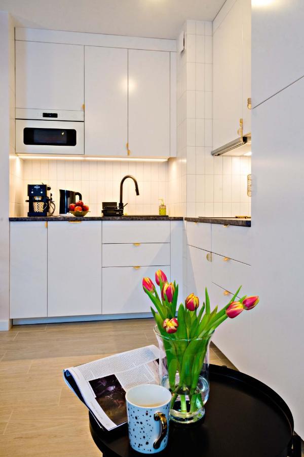Cherub Apartment Wroclaw Dış mekan fotoğraf
